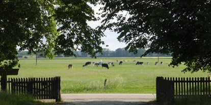 Rollstuhlgerechte Unterkunft - Niedersachsen - Die Kühe von Gegenüber - Hof Elsbusch