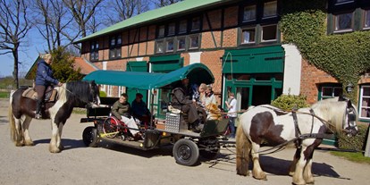 Rollstuhlgerechte Unterkunft - Ostsee - Ferienhof Wisch 
