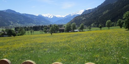 Rollstuhlgerechte Unterkunft - Österreich - Panoramablick über das ganze Tal - Villa Mandl bei Zell am See Pool Sauna Hunde erl. Rollstuhlgängig