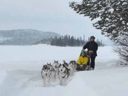 Rollstuhlgerechte Unterkunft - Unterkunftsart: Ferienwohnung - Meet the lovely Siberian Huskies and let them take you across the frozen lake. 2 types of sled to suit all abilities. - The Friendly Moose Lapland