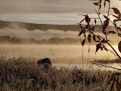 Rollstuhlgerechte Unterkunft - Unterkunftsart: Ferienwohnung - The first mists and frosts of Autumn on the river Torne. The hill in the background is Finland. We are right on the border between Sweden and Finland so both countries can be explored.  - The Friendly Moose Lapland