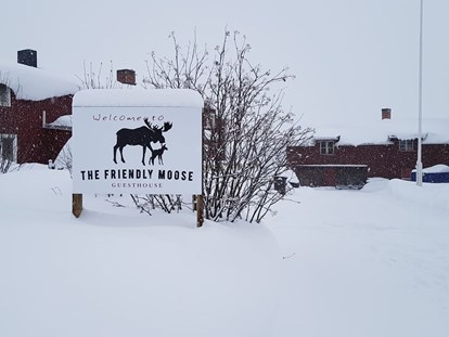 Rollstuhlgerechte Unterkunft - Unterkunftsart: Ferienwohnung - The Friendly Moose in Winter. Temperatures dropped to minus 36 deg c last winter. 

However, because it is often dry and still when we have our coldest temperatures and we give you guidance and help with what to wear you will still keep warm. - The Friendly Moose Lapland