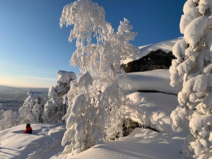 Rollstuhlgerechte Unterkunft - Unterkunftsart: Ferienwohnung - A Winter Wonderland - The Friendly Moose Lapland