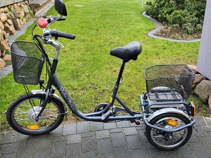 Rollstuhlgerechte Unterkunft - Dreirad Velo Trike - Stiftung Friedrich Wilhelm und Monika Kertz