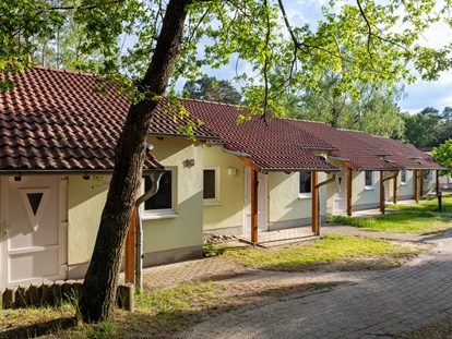 Rollstuhlgerechte Unterkunft - Unterkunftsart: Ferienhaus - Appartements - IDA Integrationsdorf Arendsee